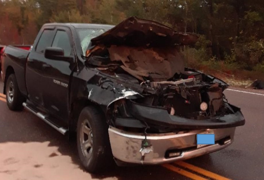 moose truck collision pimisi highway 17 e