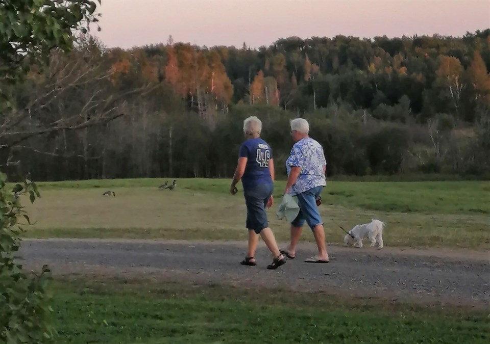 peaceful walk