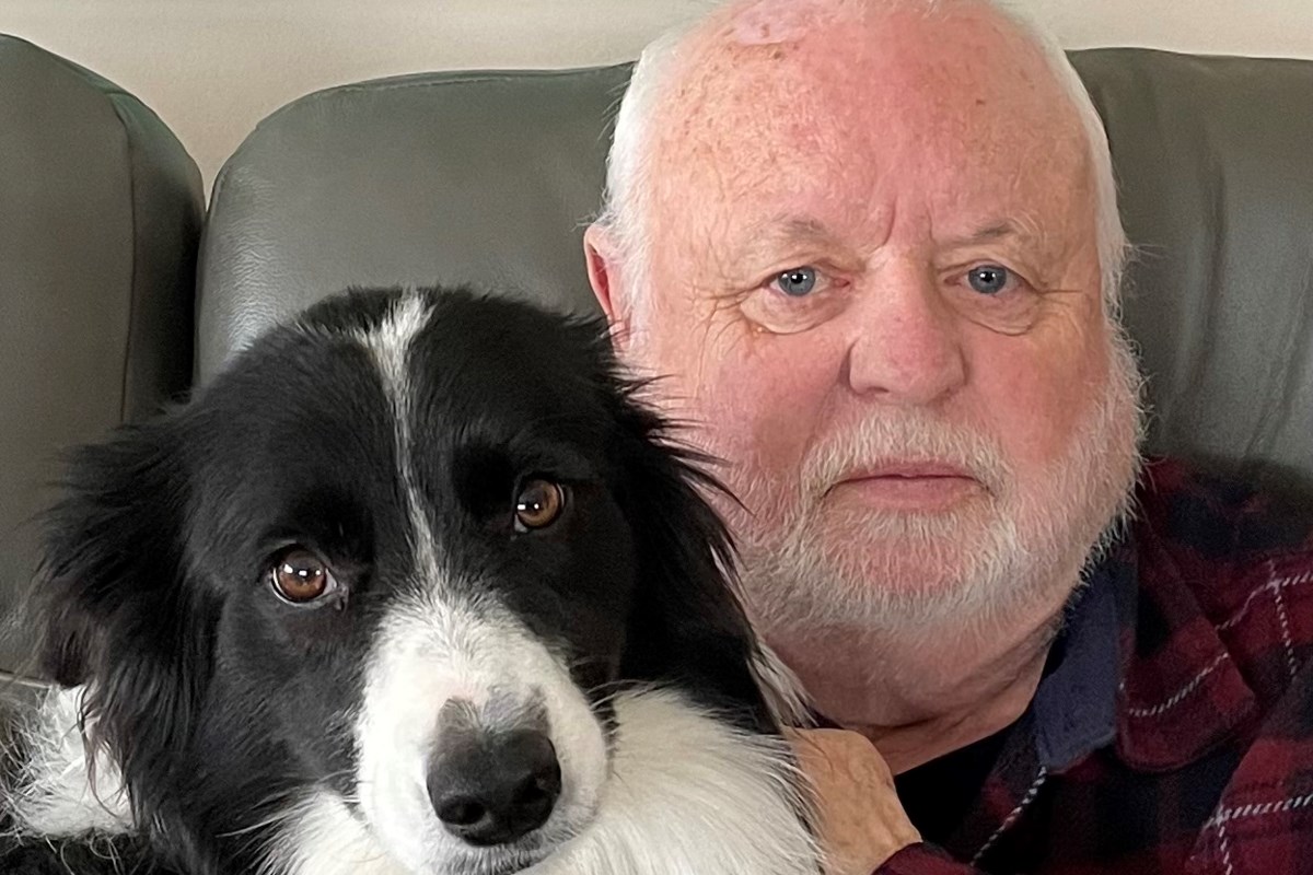 LETTER: It’s natural for strangers to want to pet your dog