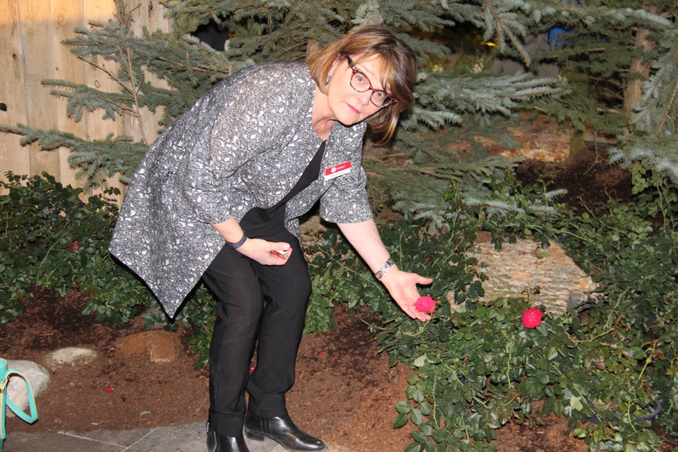 Vineland Research Marketing Director Cheryl Lennox shows off one of the roses at Canada Blooms. Photo by Jeff Turl.