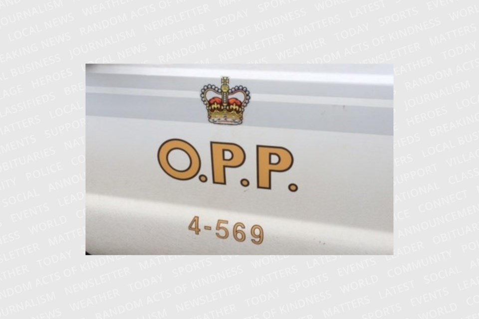 201 10 26 OPP police car door turl