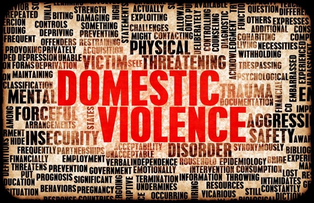 2015 12 1 Domestic Violence 2