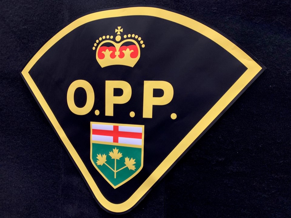 20190218 opp logo