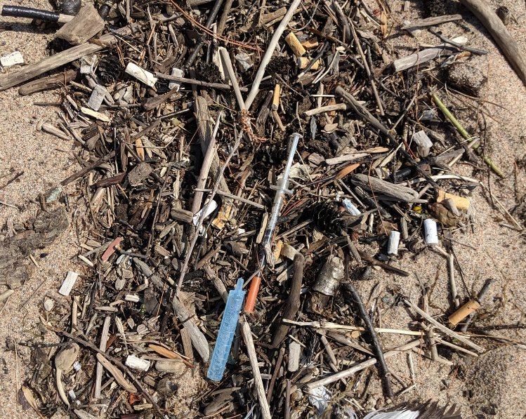 20190816 needles beach