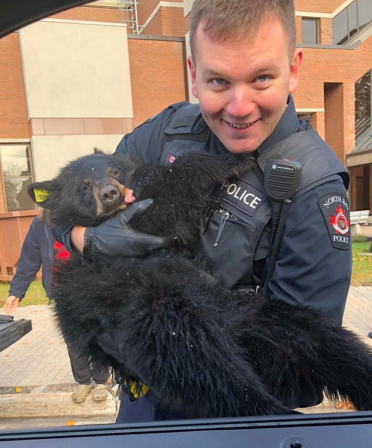 2020 Officer Robertson with bear