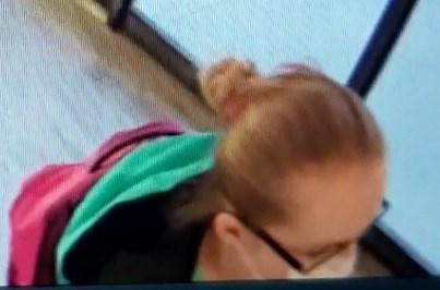 this woman is wanted in connection to a robbery at an apartment on Trout Lake Road. Submitted.