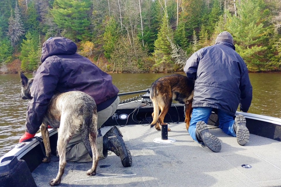 Their handlers say cadaver dogs can detect human remains even if they are submerged.