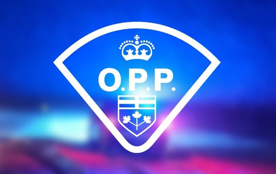 Speed, distraction and impaired driving behind most 2024 road fatalities: OPP