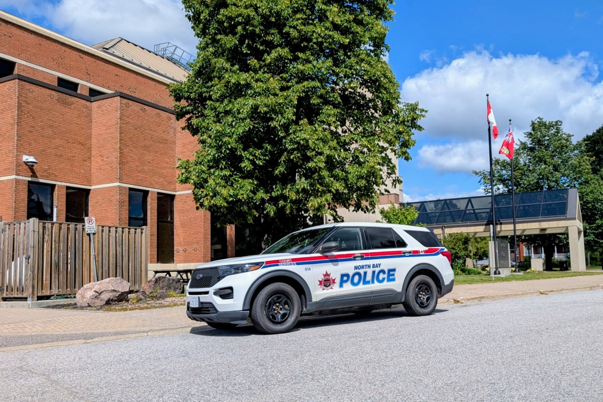 The court heard Sahibjot Singh rammed an officer with a stolen vehicle. The Crown seeks a five-year sentence—the final decision is delayed until October as the defence obtains records of Singh's pre-trial jail conditions