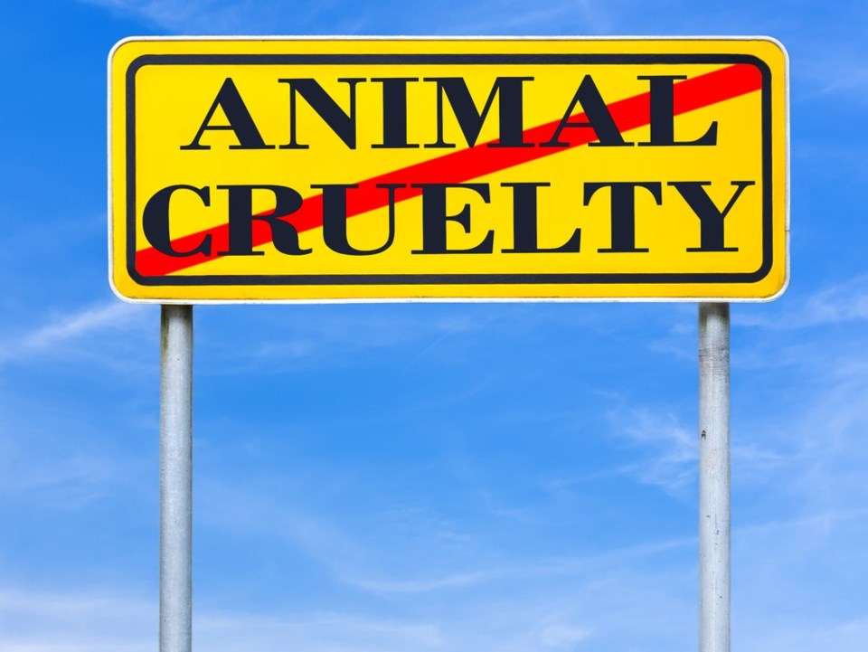 animal cruelty shutterstock_168124253 2016