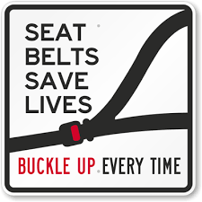 seatbelt graphic 2016