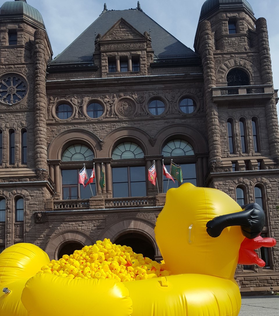 yellow rubber duckies at queens park 2017