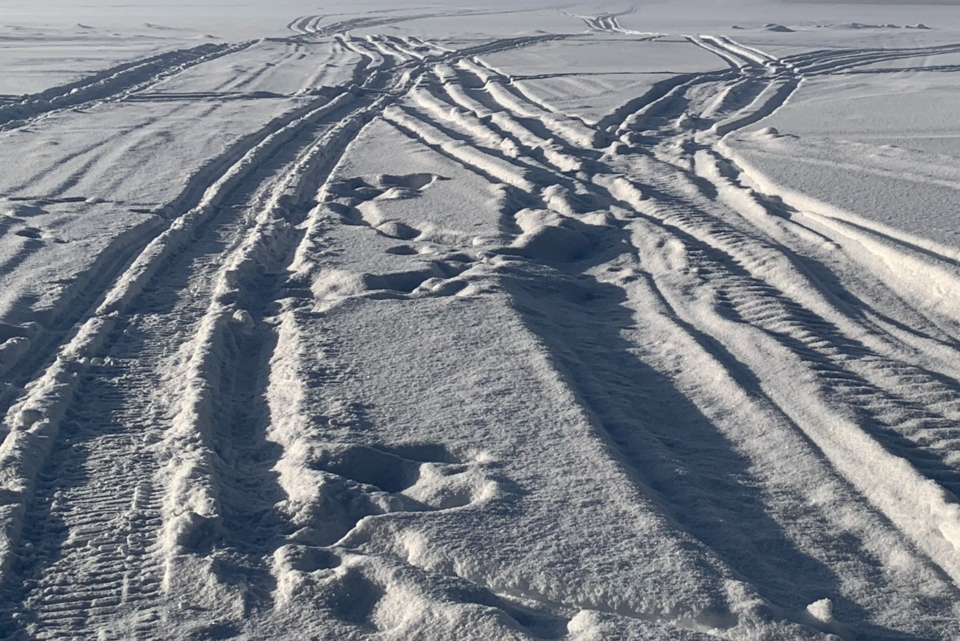 20210202 snowmobile tracks turl(crop)