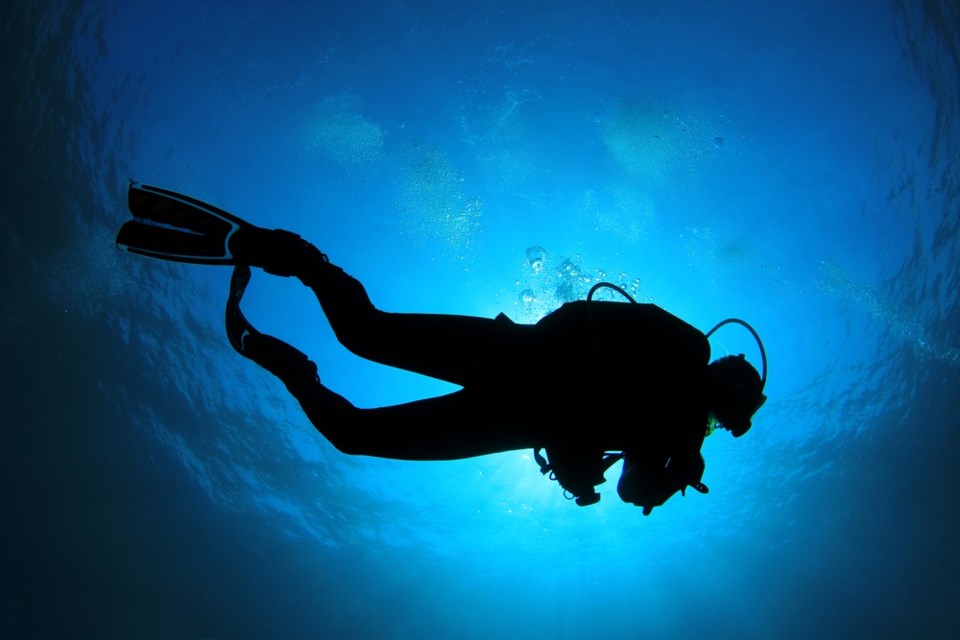 scuba diver shutterstock_74732545 2015