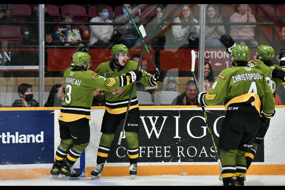 Petrov gives Battalion first lead of the series with an early first period goal in game 3. 