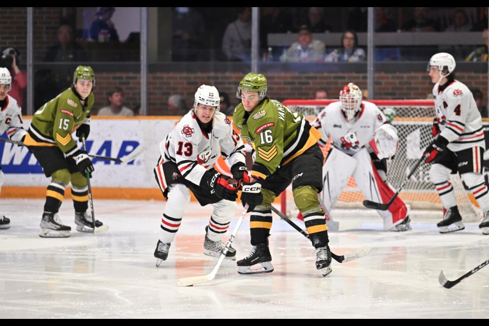 Owen Van Steensel in front of the IceDogs net. 