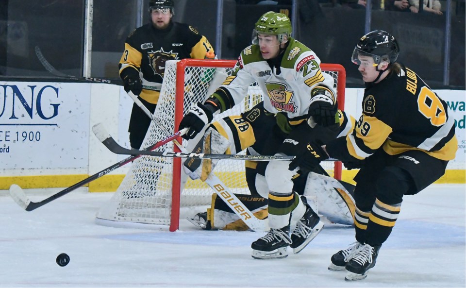 Battalion back in first after big win over Bulldogs - North Bay News