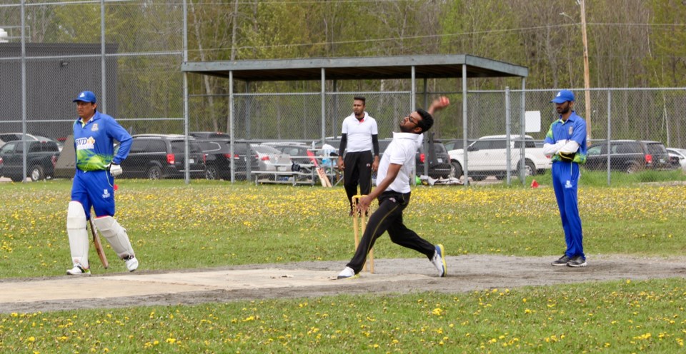 CricketactionMay2017