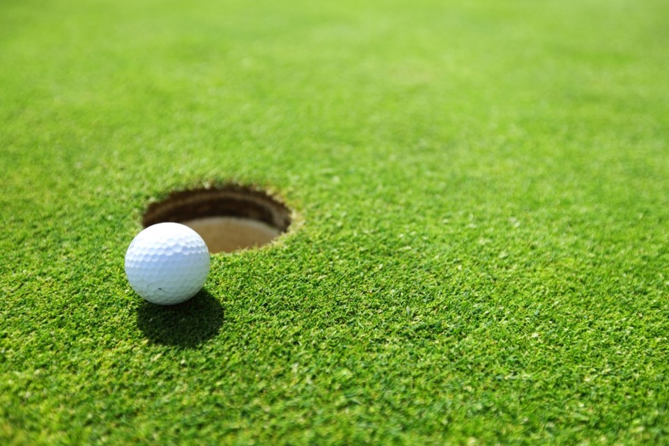 golf ball by hole shutterstock_107279591 2016