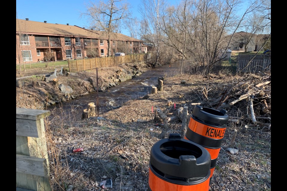 Trees have been taken down along Chippewa Creek in advance of reconstruction of the bridge on Cassells St.