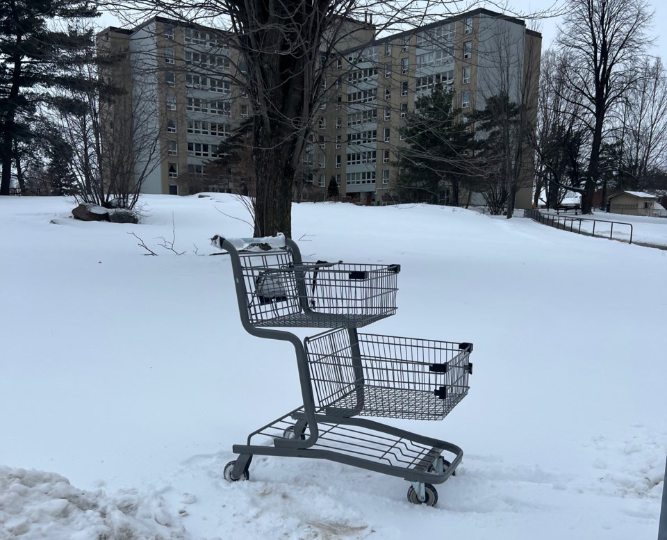 2024-01-10-abandoned-shopping-cart