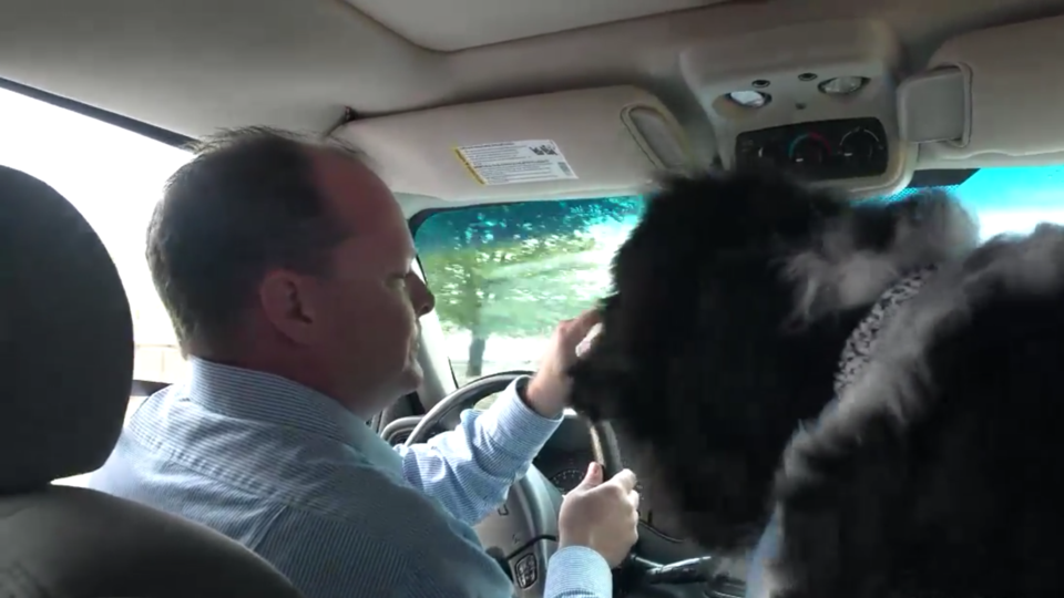 Lap Dog Driving