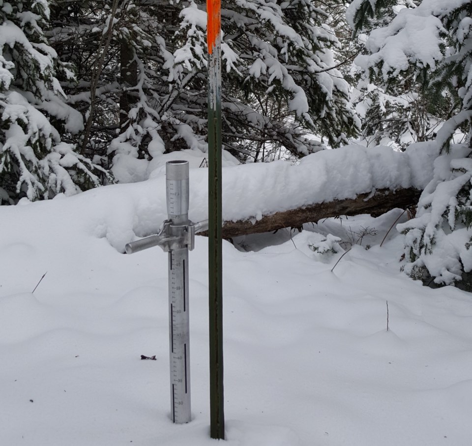 20171215 - snow survey at Shirley Skinner
