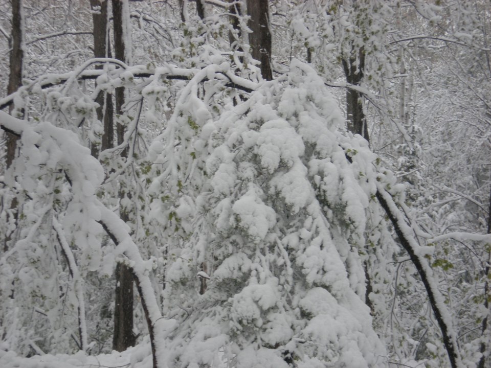 20181105 real snow walton