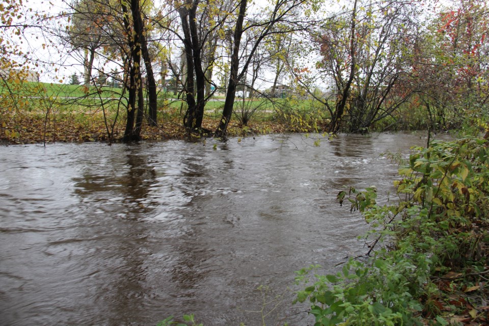flooding chippewa creek 1 turl 2015
