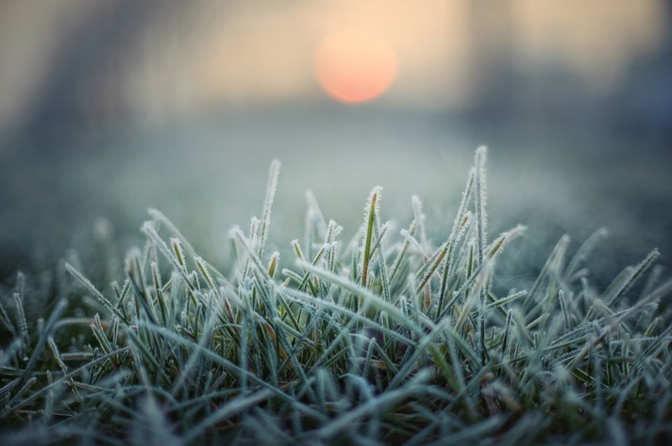 frost on grass shutterstock_219843502 2016