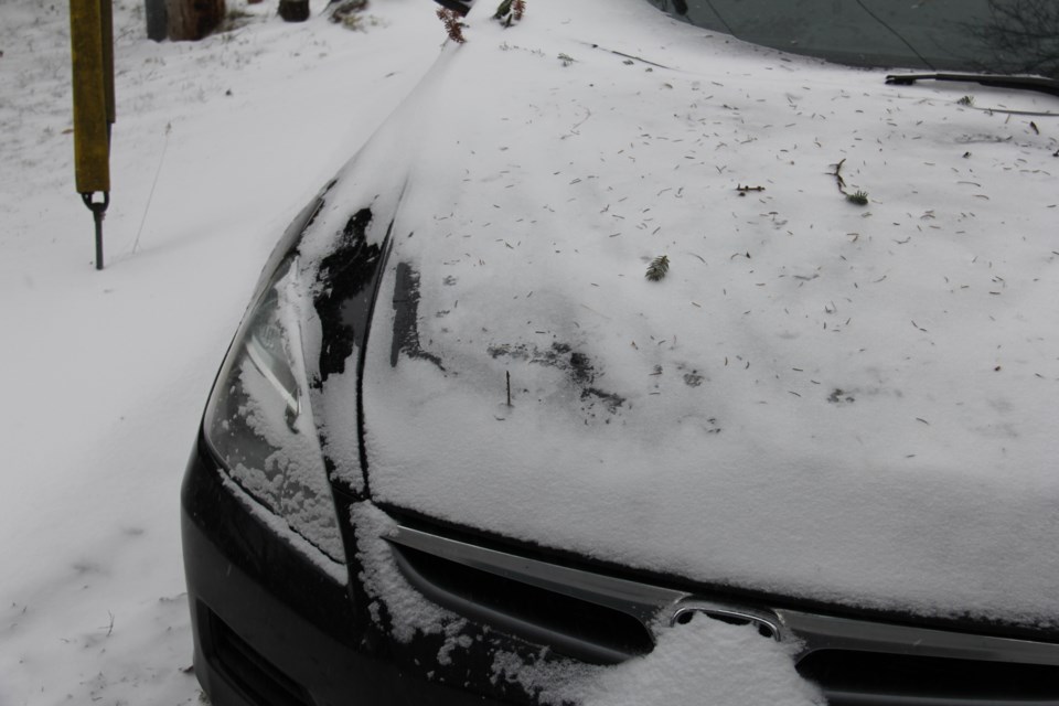 snow covered car turl 2016