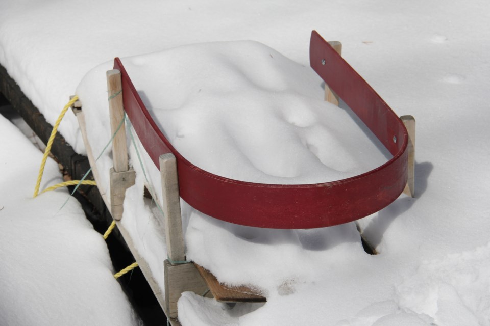 snow sled 2 turl