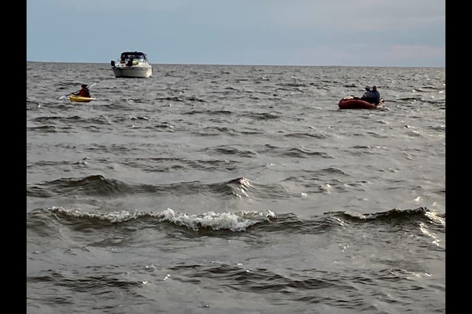 Marathon swimmer Marilyn Korzekwa and crew in the final stage of her 28 km Lake Nipissing swim.