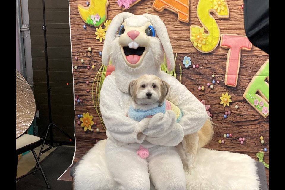 Margarita poses for a picture with Easter Bunny, helping to raise money for Dog Guides. 
