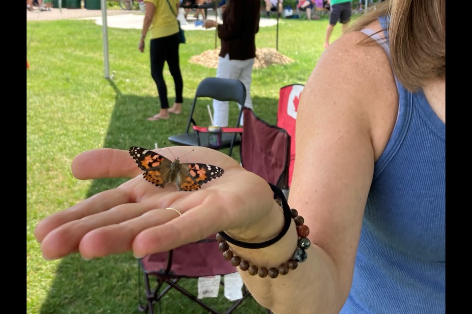 A total of 650 butterflies were released during the 14th Annual Live Butterfly Release for the Near North Palliative Care Network 