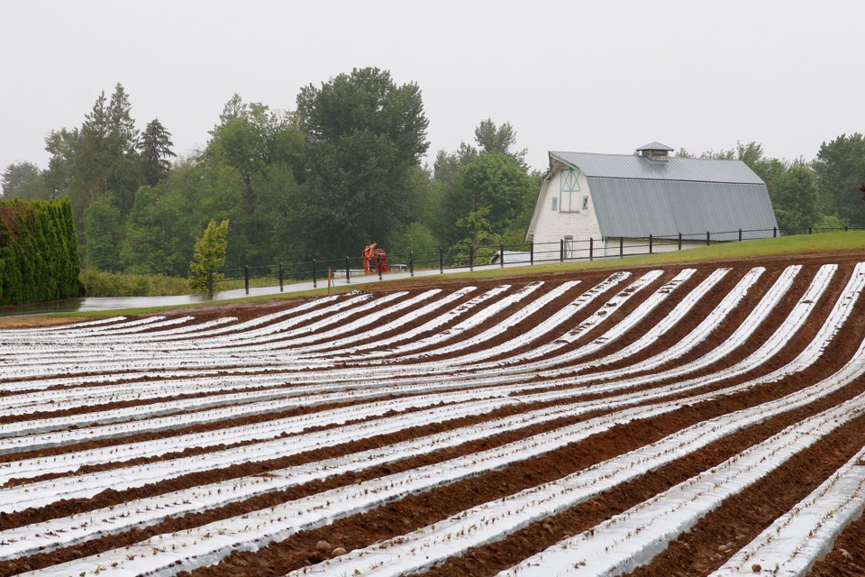 240521-abbotsfordfarm-529