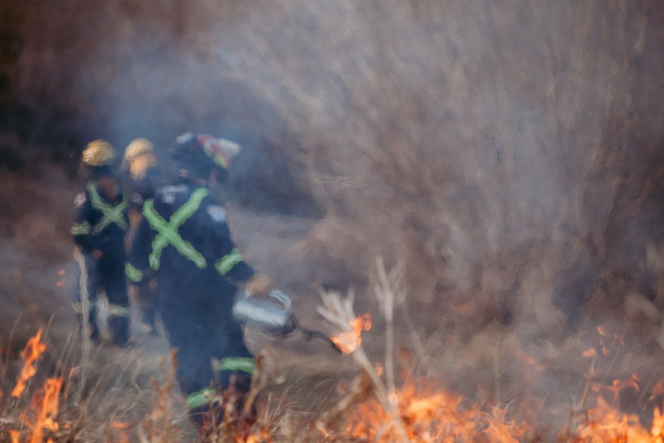 alberta-wildfires-davin-g-photography-moment-getty-images