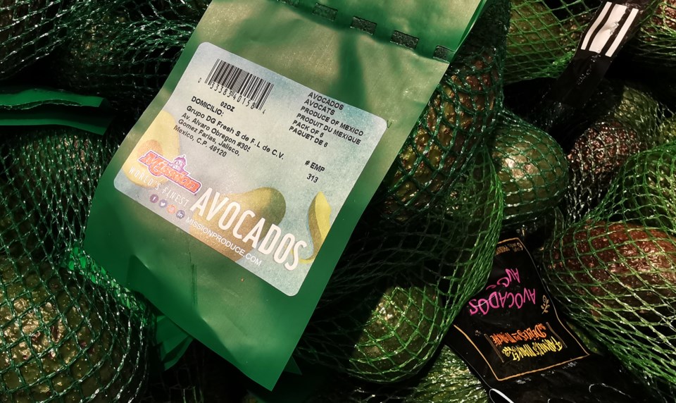 avacados-mexico-011