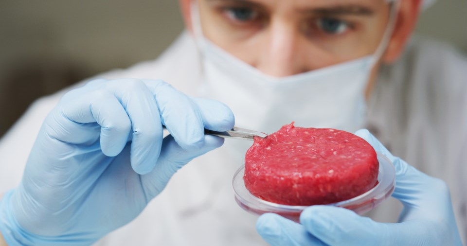 beef-lab-gorodenkoff-istock-getty-images-plus-getty