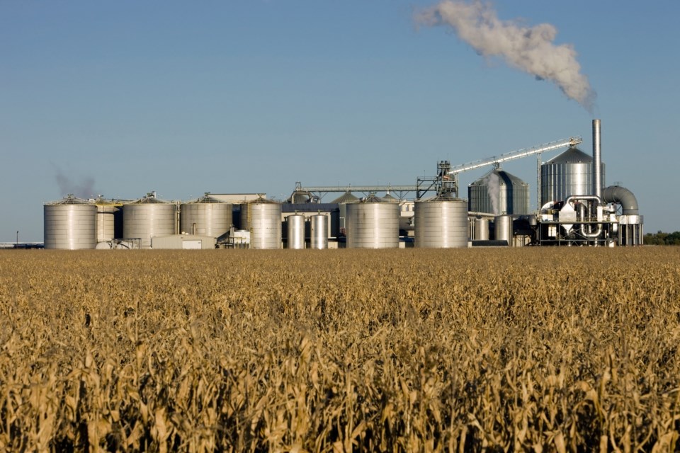 biodiesel-refinery-banksphotos-eplus-gettyimages