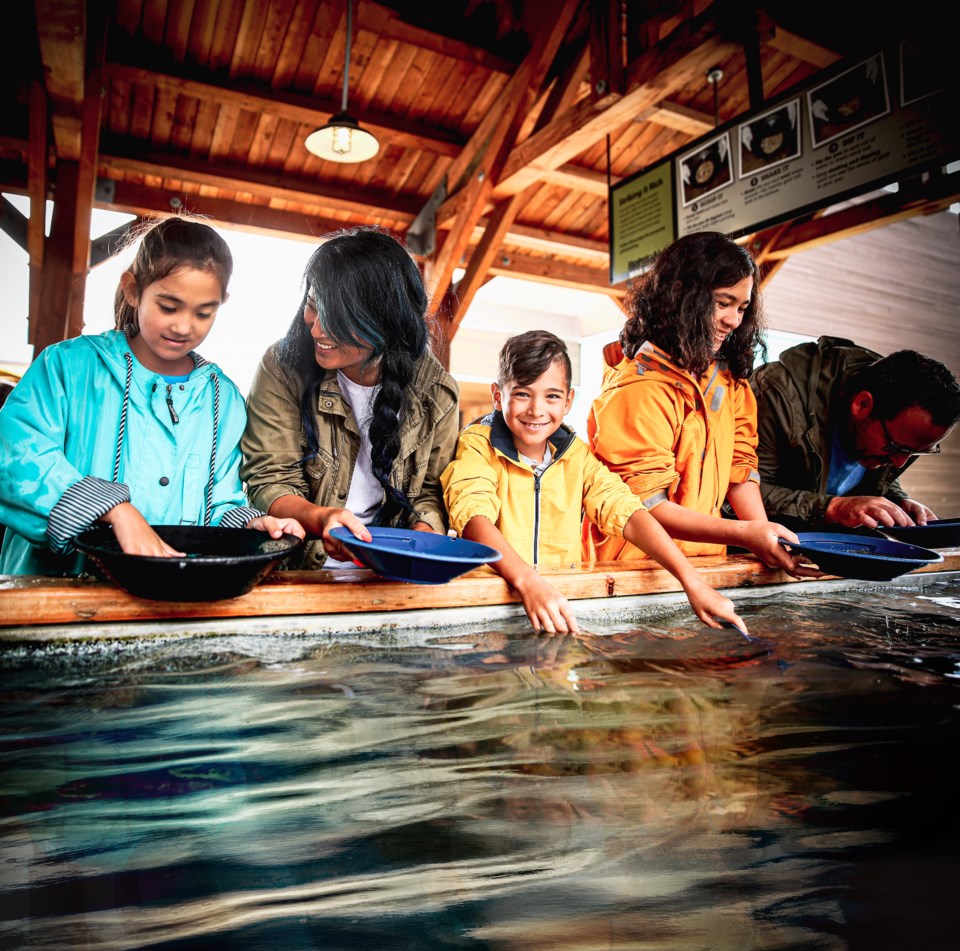 bmm-family-goldpanning