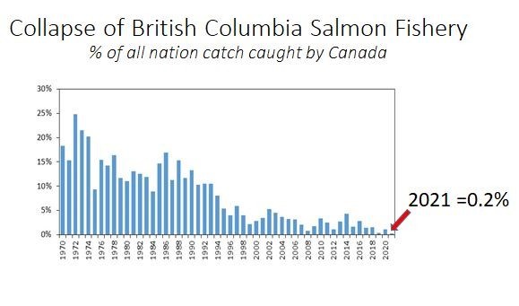 commercial-salmon-collapse-dick-beamish