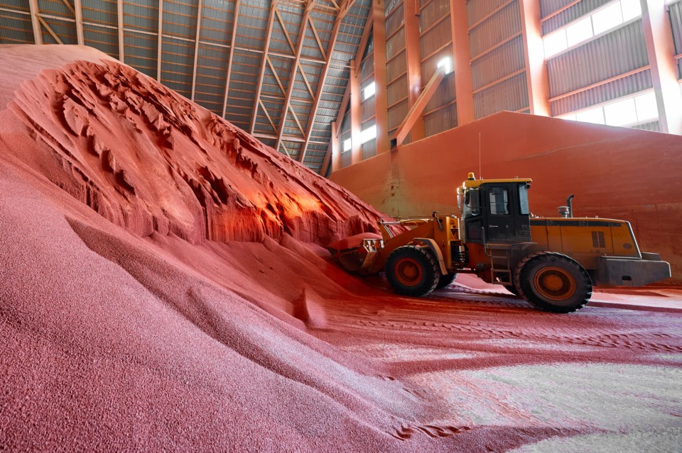 fertilizer-nordroden-istock-getty-images-plus-getty-images