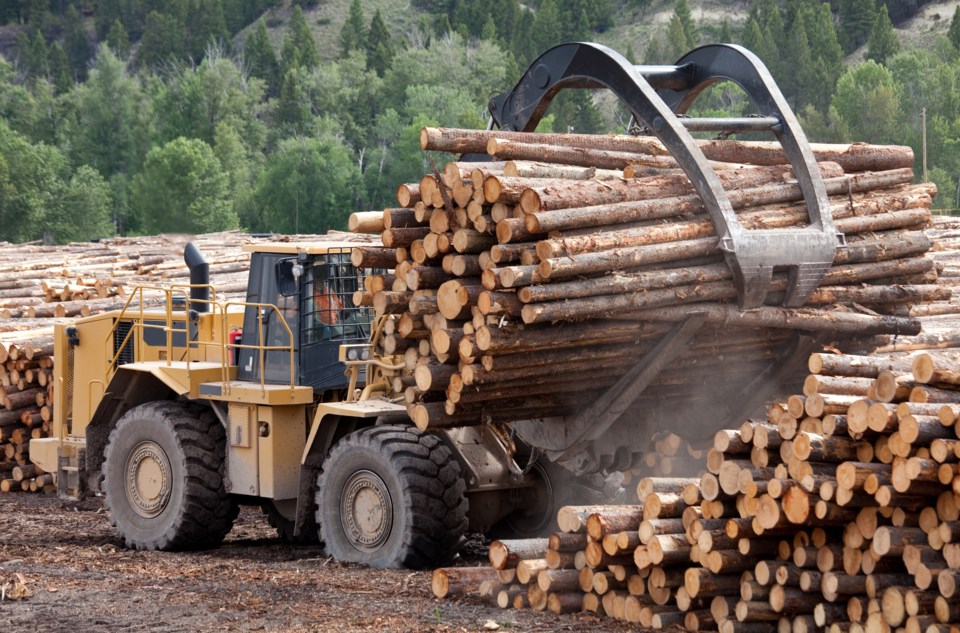 forestry-lumber-credit-imaginegolf-eplussymbol-gettyimages