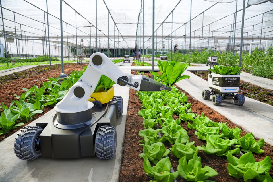 greenhouse-kinwun-istock-gettyimagesplus-gettyimages