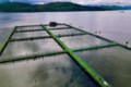 B.C. aquatech firm lands $28M for salmon farm improvements