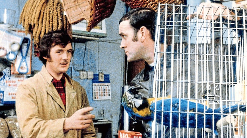 Dead-Parrot-Monty-Python-creditAllstar-BBC