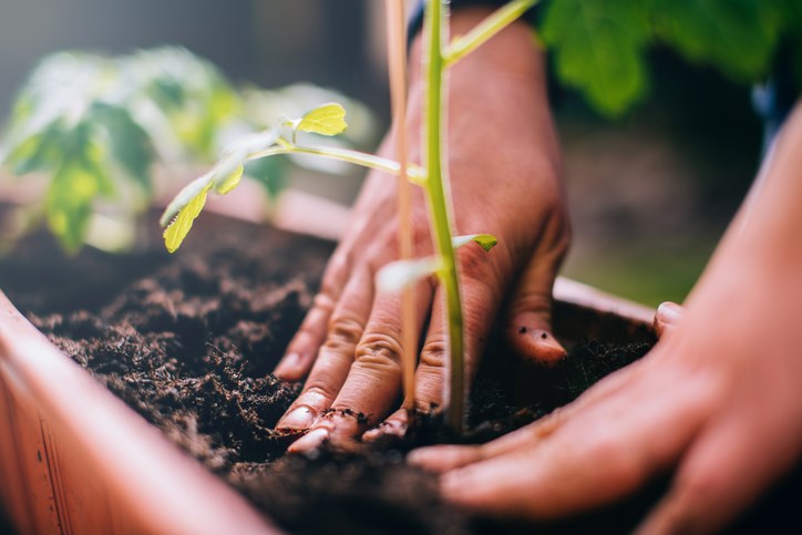 Gardening-creditGuidoMiethGettyImages