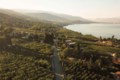 'Okanagan's got it': Wineries pull together amid devastating loss of 2024 vintage