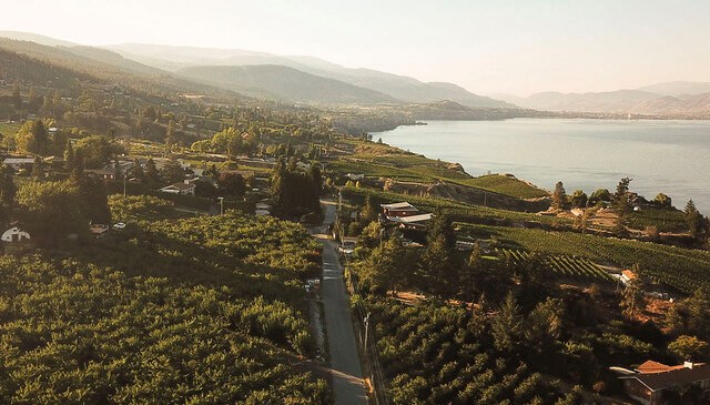 okanagan-wineries